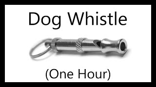 Dog Whistle (1 Hour)