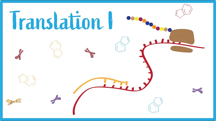 Translation I: tRNAs, Ribosomes, Codons, & Translation Factors
