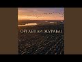 Ой летіли журавлі 