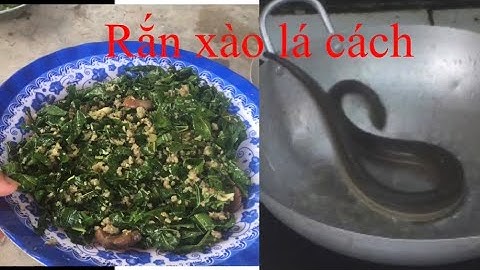Rắn xào lá cách - Đặc sản miền Tây - Ngọc vũ Vlog ￼