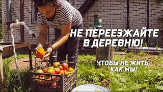 КУПИЛ ДОМ НА ХУТОРЕ | Сделали БОЛЬШОЕ ДЕЛО | ПРОСТАЯ ЖИЗНЬ #купилдомвдеревне #жизньвдеревне