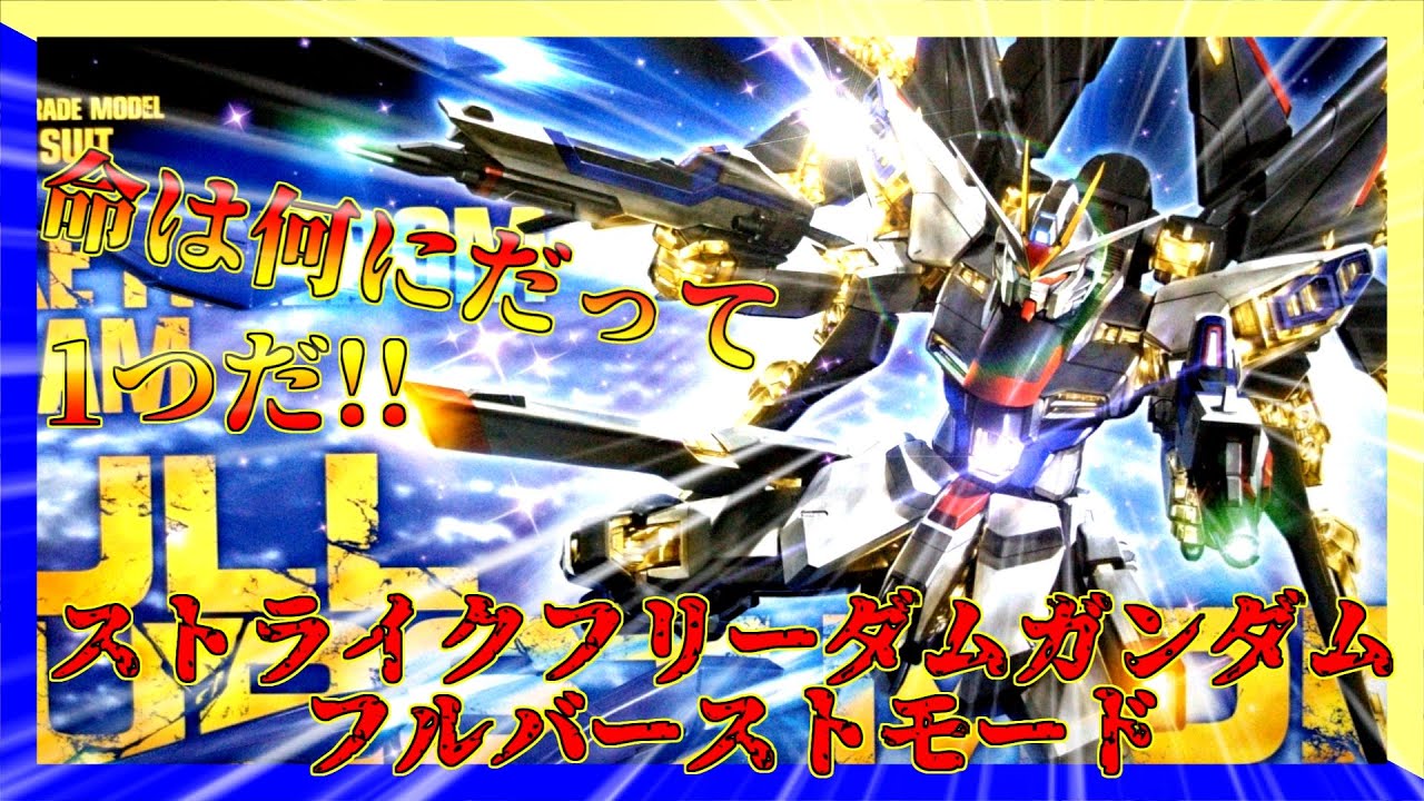 MG ストライクフリーダムガンダムフルバーストモード【限定版VS通常版