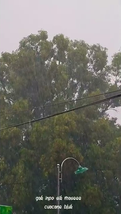 story wa || prei info mase, udan #shorts #storywa #shortsviral #hujanderas