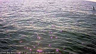 GB Buoy Timelapse - 2026-08-31