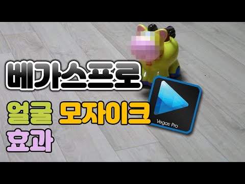 베가스프로(vegas pro) 특정부분, 얼굴 모자이크 효과