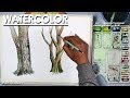 How to Paint Different Tree Stems in Watercolor