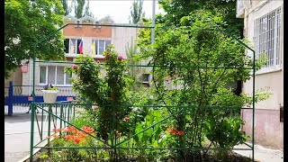 Наш двор. Летняя зарисовка (Ставрополь, июнь 2021)