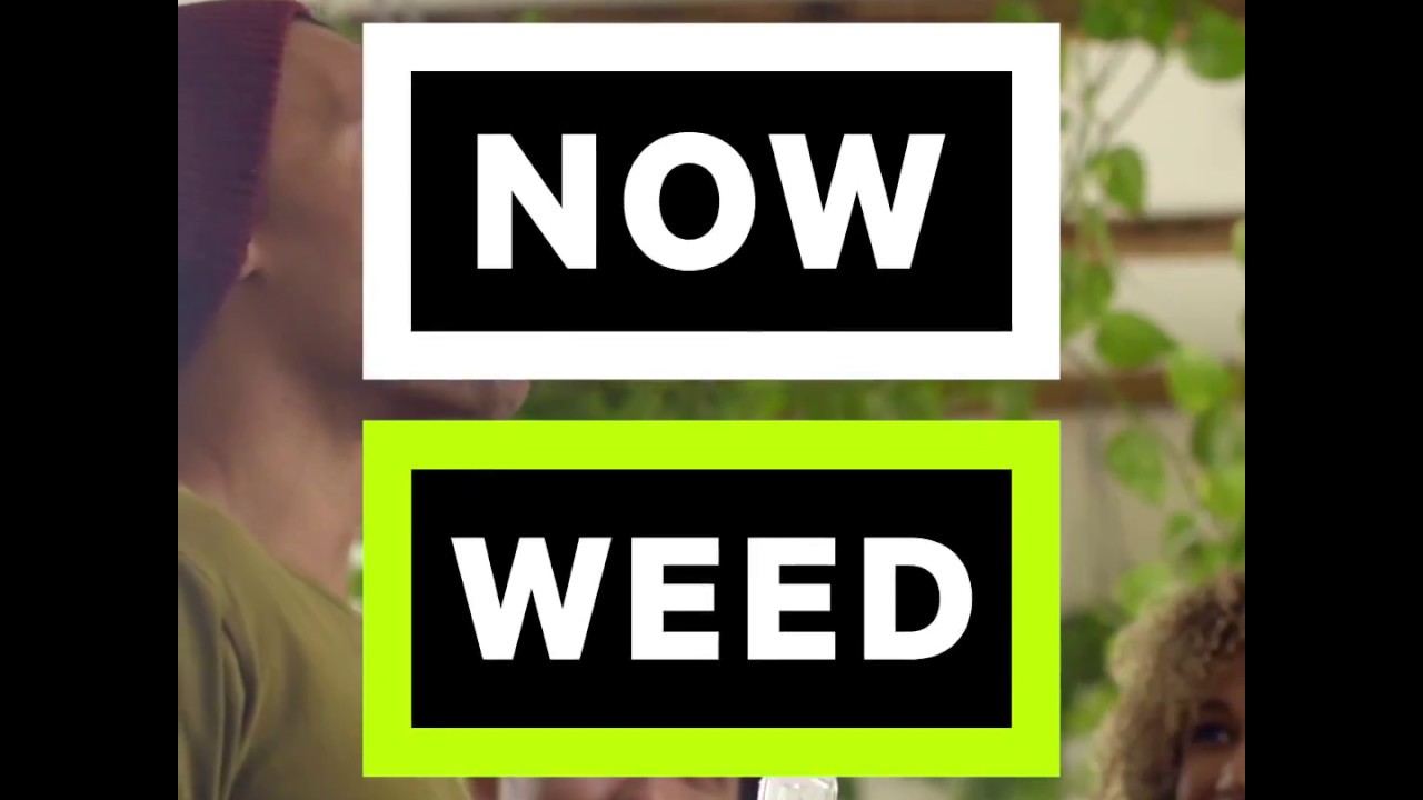 Vapexhale Will Change How You Consume Cannabis: NowThis Weed
