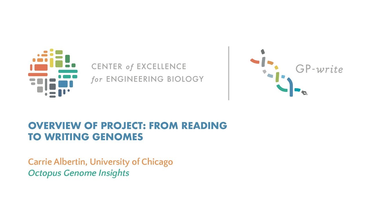 Overview of Project: From Reading to Writing Genomes | Carrie Albertin
