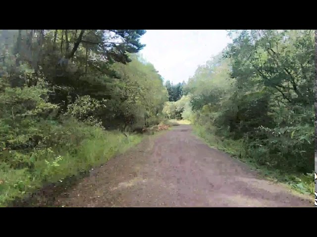 Barry Sidings Mountain Walk Mynydd Gelliwion Youtube