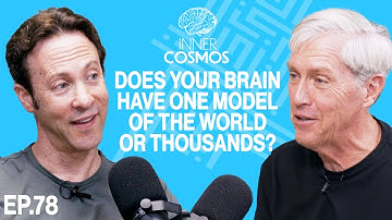 Does your brain have one model of the world or thousands? | Inner Cosmos with David Eagleman