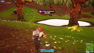 Fortnite - 5K Black Widow 2023.11.30