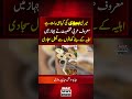 Highlights Wife's Cooking on Private Flight | Arabic Influencer's Sweet Gesture