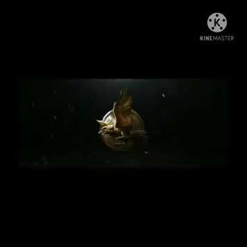 New game of Garena 🎮🎮Undawn 🎮🎮Open world zombie survival 🧟🧟 game #trailer