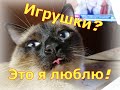 Игрушки для нашего тайского кота