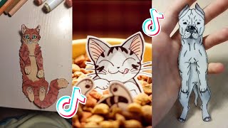 Paper Animals 🌸 HappyTok 🌸 DIY TikTok Compilation #21