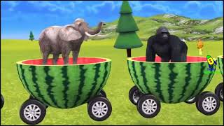 Monkey Watermelon Train For Kids