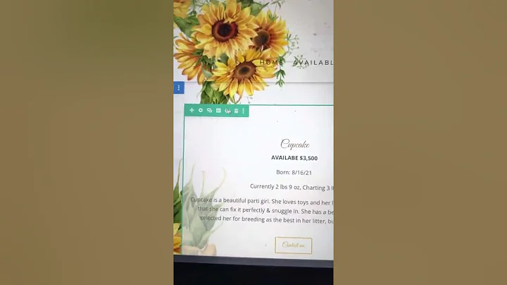 Sunflower Edits