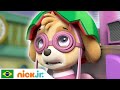 Patrulha Canina | Hora da Corrida | Nick Jr. em Português