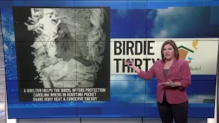BIRDIE THIRTY: Offering a shelter is another way to help the birds - EWN at 6:30am on 2-7-2026
