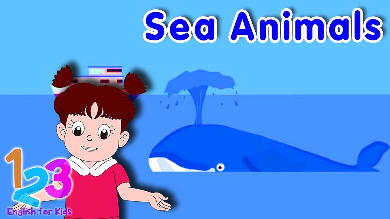 Belajar Bahasa  Inggris  Mengenal Hewan  Laut  bersama Diva 