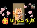   اغنية باسم  كارلا  ستو انا للاطفال     اغنية  كارلا  ستو أنا   بصوت القطة للأطفال     نجومي