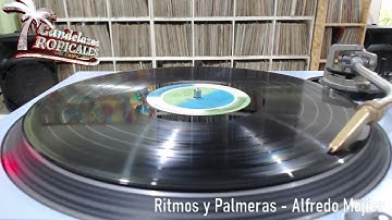 Ritmo y Palmeras - Alfredo Mojica y su Orquesta