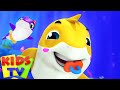 ребенок акула | песенки для детей | потешки | Kids Tv Russia | развивающий мультфильм