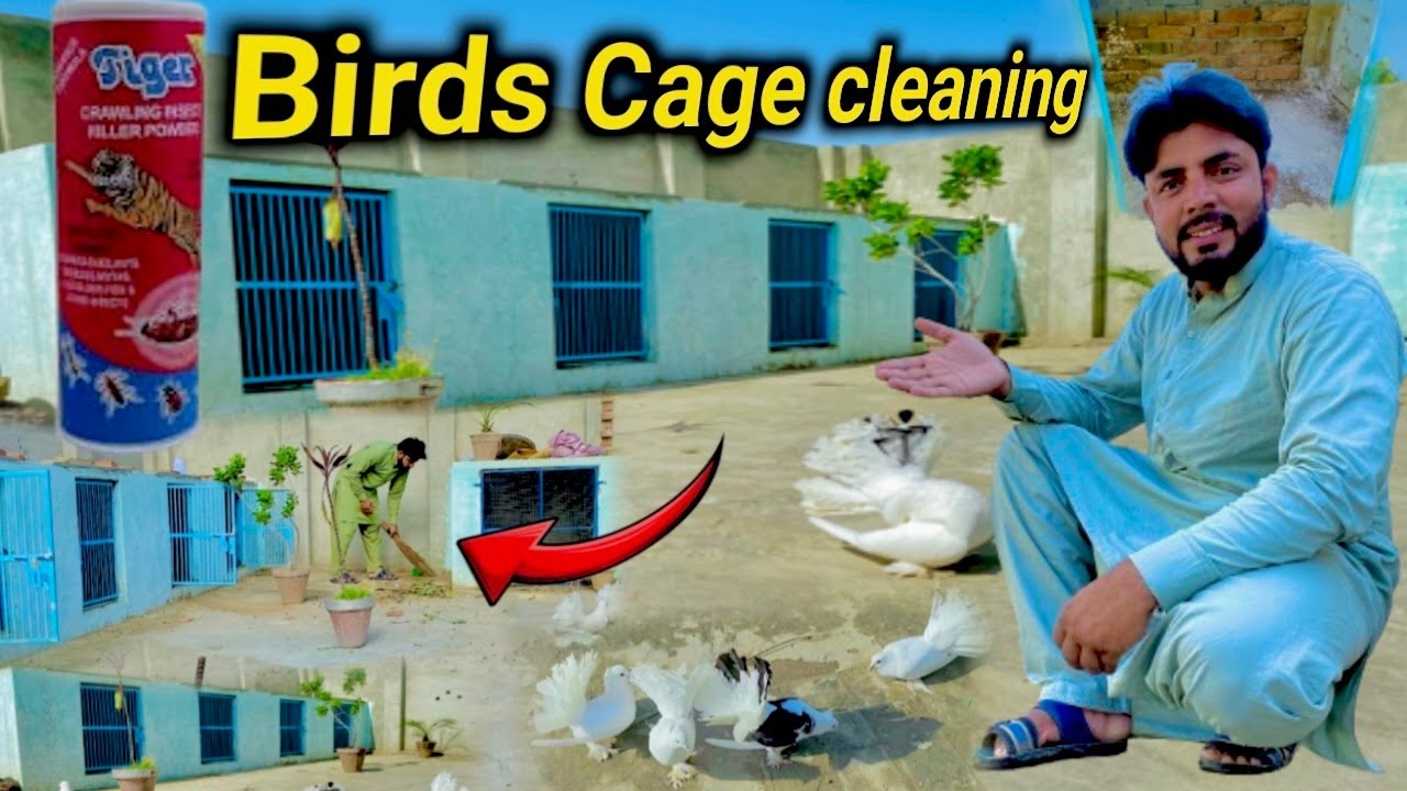 Hemobllo 1 Set Bird Cage Cleaning Brush Bird Poop Cleaner