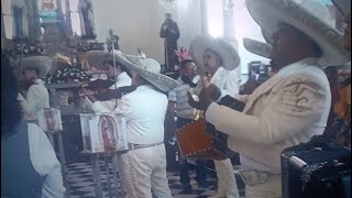 Mariachi Continental de la Laguna serenata a la virgen de Guadalupe 2022