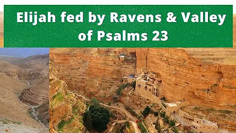 Travelling from JERICHO to the VALLEY OF PSALMS 23 | Where Prophet ELIJAH fed by RAVENS 1Kings 17