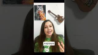 Этот вопрос мне задают каждый день! #голос