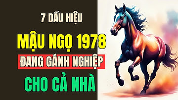 7 Dấu hiệu mà Thần phật đã nói rõ, Tuổi Mậu Ngọ 1978.Nửa đời trước gánh nghiệp cho cả gia đình,