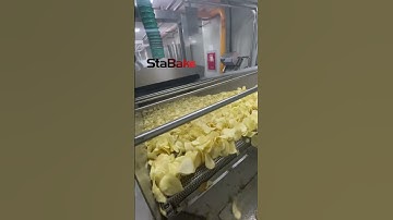 potato chips making machine continuous fryer #fryer #potatochips #frying #fryingequipment
