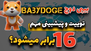 بیبی دوج (babydoge):  آیا بیبی دوج 16 برابر میشود؟/ پیش بینی مهم در مورد پامپ بیبی دوج
