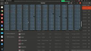 Commands, Arguments, Getting Help, and Navigating the File System