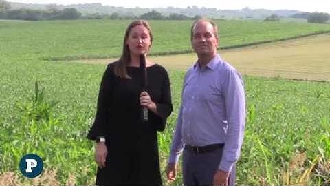 3 Message Message Themes to Prioritize in Crisis Communication