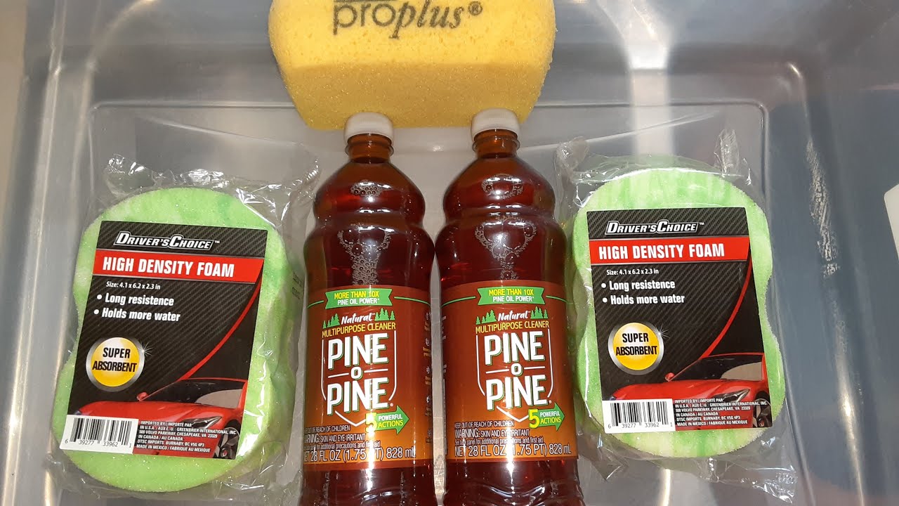 2 PineoPine On New Dollar Tree Car Sponges! YouTube