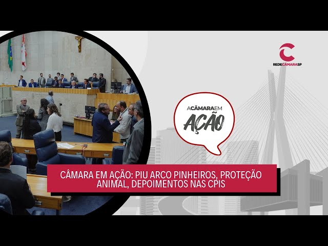 Câmara em Ação: PIU Arco Pinheiros, Proteção animal, Depoimentos nas CPIs e – 22/08/2025