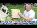 Nesting Box/Hide Box Build for Rabbits