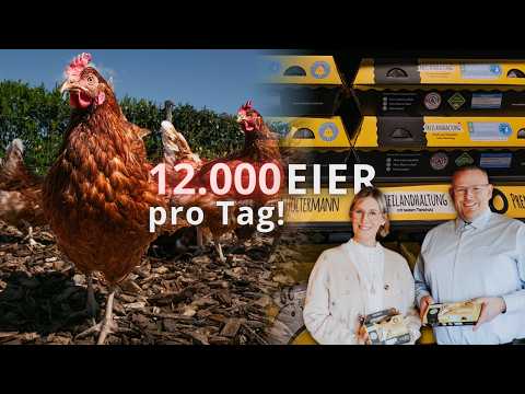 12.000 Eier am Tag: Ist das Deutschlands fairster Hühnerhof???