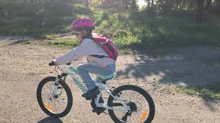 Cannondale trail 20 2019 Clearance