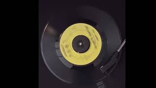 Psychotic Reaction: Count Five (1966 | Garage / Psychedelic Rock)