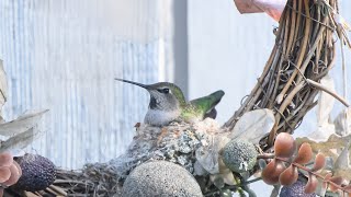 Feeding the little ones