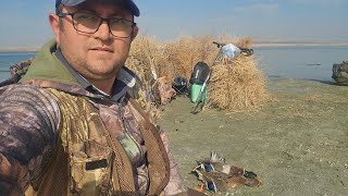 Hirfanlı Ördek Avı Bol Karavana Lı