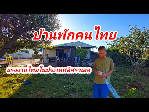 ของดีในต่างแดนเอามาฝากคนไทยที่ ของดีในต่างแดนเอามาฝากคนไทยที่ฟาร์มไก่