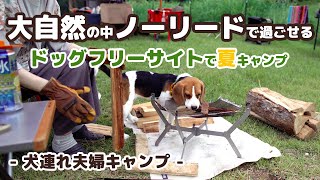 キャンプ 2泊3日 大自然の中ノーリードで過ごせるドッグフリーサイトで夏キャンプ 犬連れ夫婦キャンプ Youtube