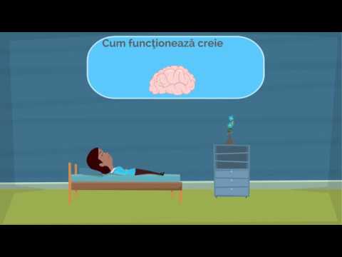 Video: Cum Să Vă Antrenați Creierul în Somn