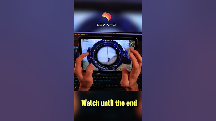 Levinho iPad Handcam