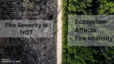 Fire Severity